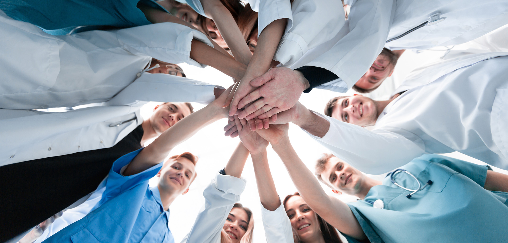 Unifying AVMA LIFE and AVMA PLIT